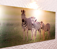 Art Gallery Wall Display - Highlights from Released Collections - All Limited Edition Art Pieces